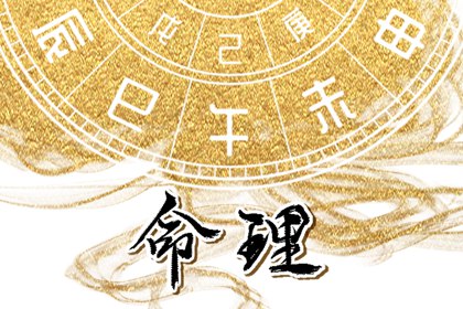 八字本命盘,新浪紫薇命盘,紫微四柱排盘