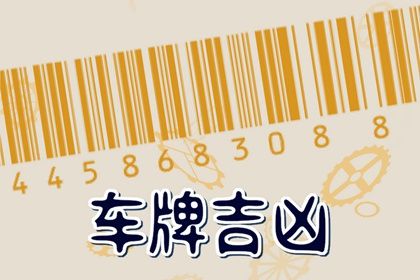 如何读本页结果