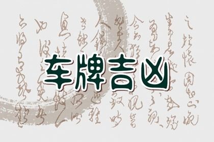 在线号码查询怎么看