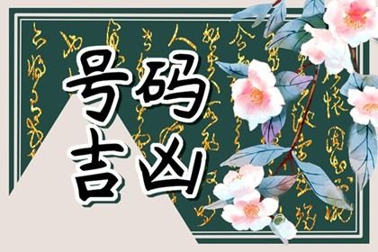 如何读本页结果