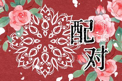 血型配对(民俗参考)