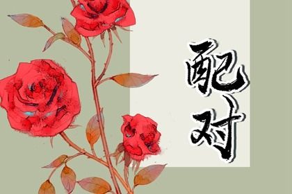 低分合婚如何经营