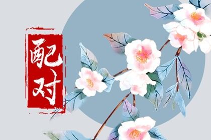 配对查询 八字合婚免费 婚嫁合八字 测婚姻缘分