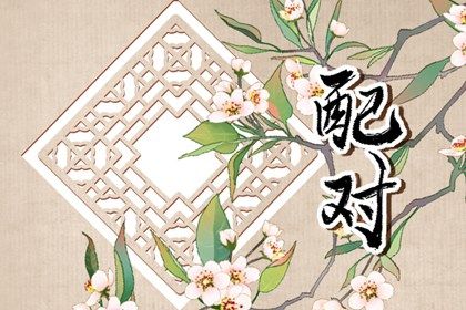 十二生肖婚配概说
