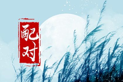 专业择日,吉日吉时查询,择日断吉凶,正宗择日通胜