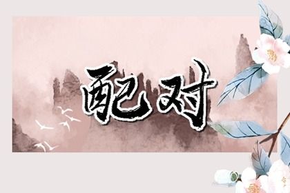 感情分数代表什么