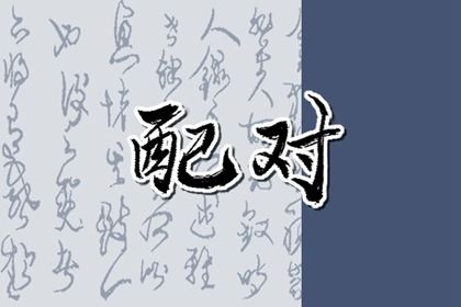理想对象类型
