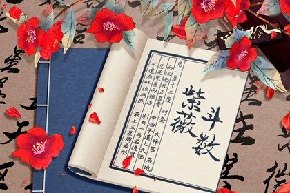 测算结果怎么用