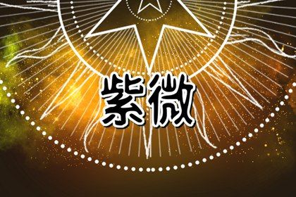 在线紫微查询怎么看