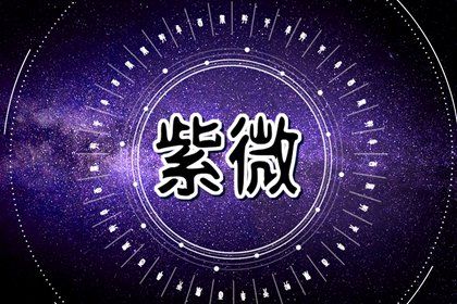 在线紫微查询怎么看
